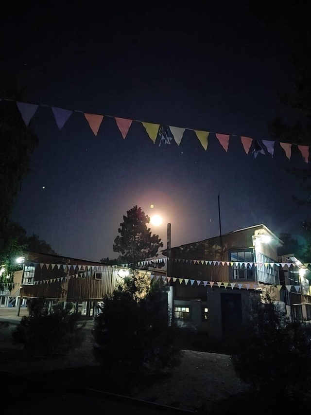 photo 28 05 2025 02